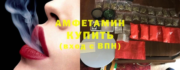 гидра Богородицк
