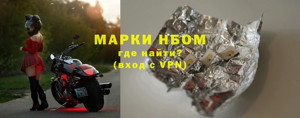 гидра Богородицк