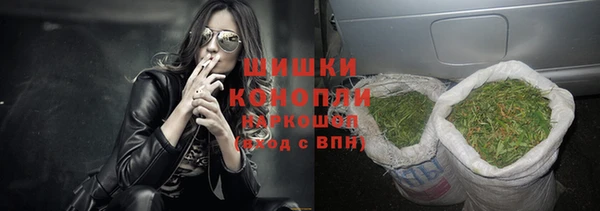 сатива Ивантеевка