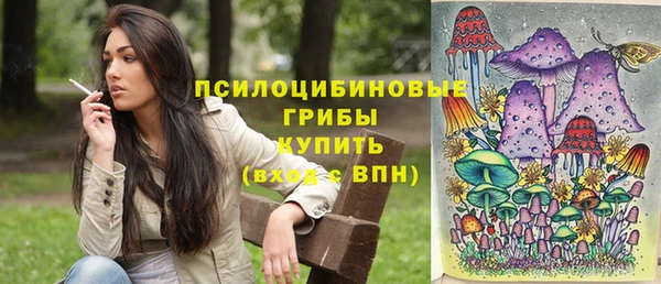 таблы Белокуриха