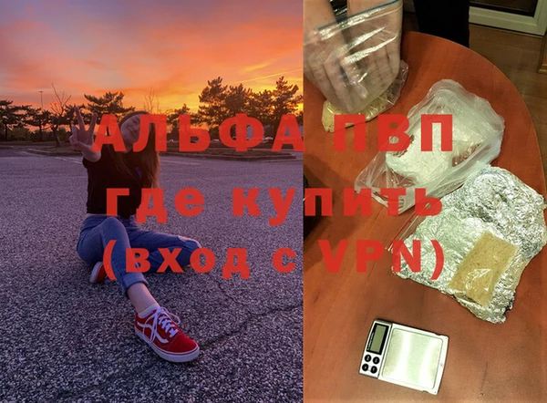 таблы Белокуриха