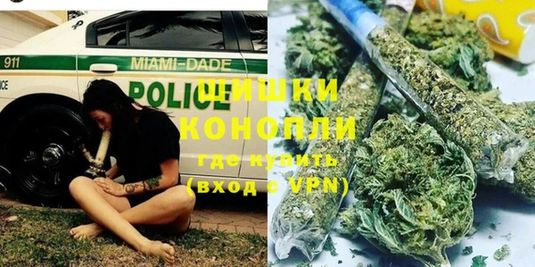гидра Богородицк