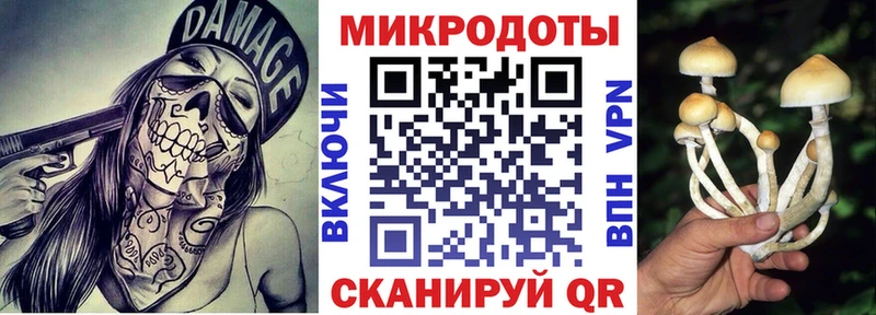 OMG   сколько стоит  Губкинский  Галлюциногенные грибы ЛСД 