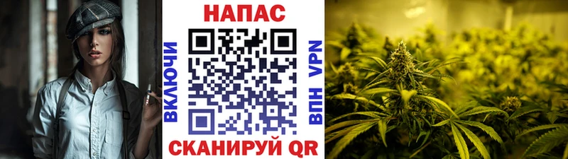 Бошки марихуана Amnesia  продажа наркотиков  Губкинский 